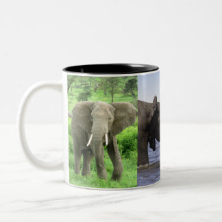 Caneca De Café Em Dois Tons Mug de Elefantes Africanos