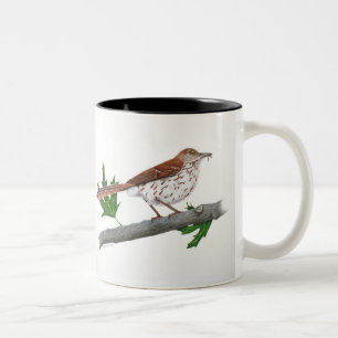 Caneca De Café Em Dois Tons Mug Inspiracional Marrom