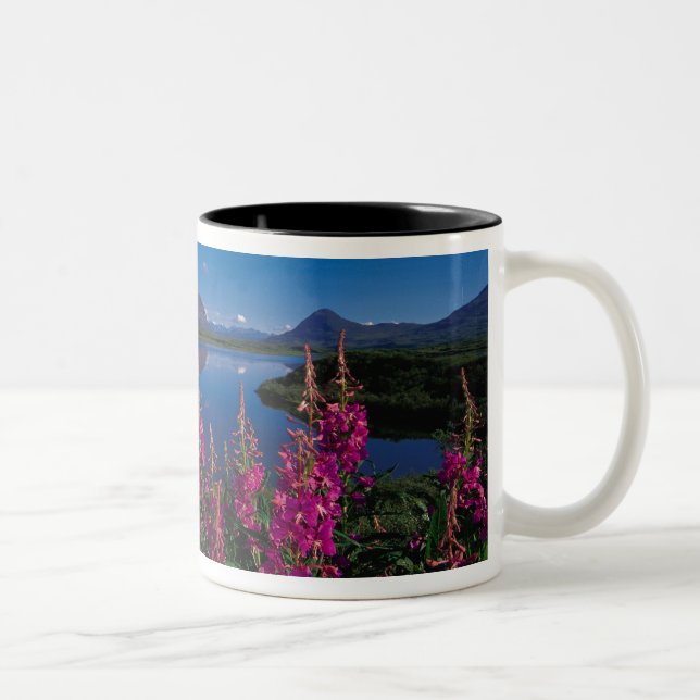 Caneca De Café Em Dois Tons N.A., EUA, Alasca, Alaska Range Comum (Direita)