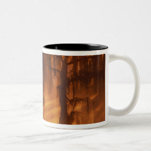 Caneca De Café Em Dois Tons N.A., EUA, Geórgia, George Smith State Park.