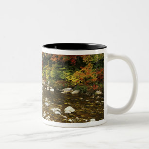 Caneca De Café Em Dois Tons N.A., EUA, New Hampshire, White Mountains,
