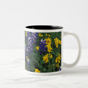 Caneca De Café Em Dois Tons N.A., EUA, Texas, Marble Falls, Blue Bonnets