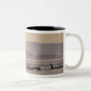 Caneca De Café Em Dois Tons N.A., EUA, Washington, Ilhas San Juan Orca