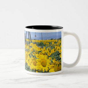 Caneca De Café Em Dois Tons Na, EUA, Colorado, Girassóis, Torre de Perfuração