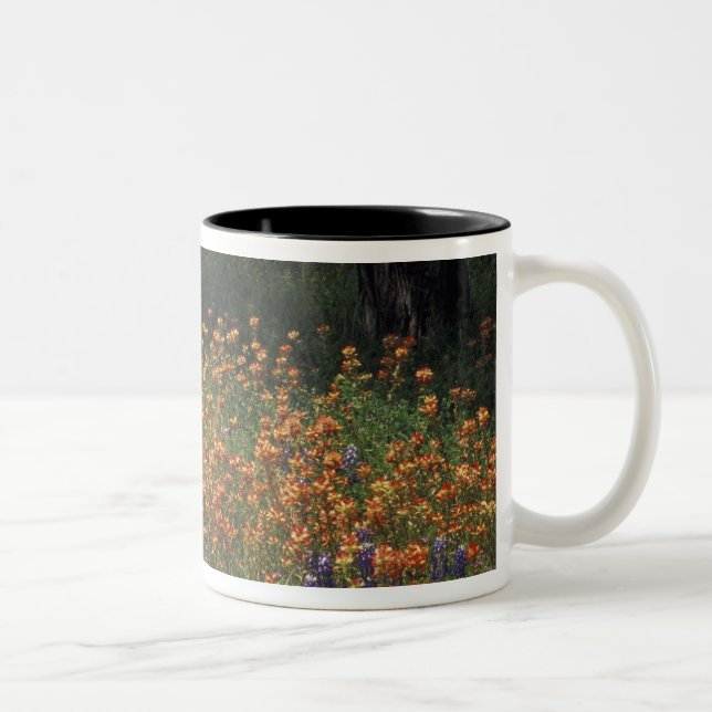 Caneca De Café Em Dois Tons NA, EUA, Texas, Hill Country, Paint brush e (Direita)