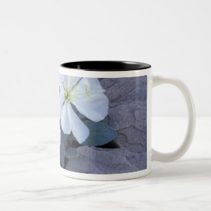 Caneca De Café Em Dois Tons NA, EUA, Utah, Arches NP, Prímula noturna