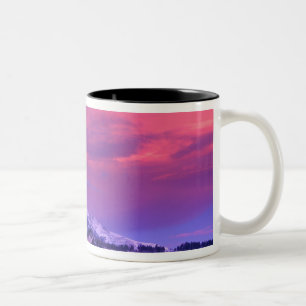 Caneca De Café Em Dois Tons NA, EUA, Wyoming, Parque Nacional Yellowstone, Val