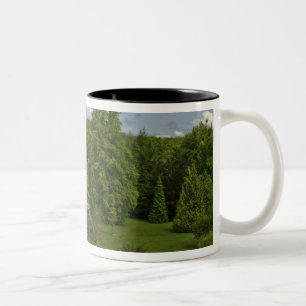 Caneca De Café Em Dois Tons Na Irlanda, no Castelo de Blarney uma torre de ped