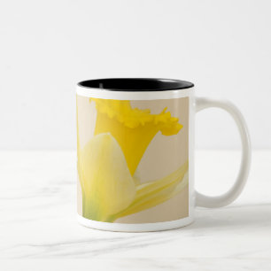 Caneca De Café Em Dois Tons Narcisos amarelos