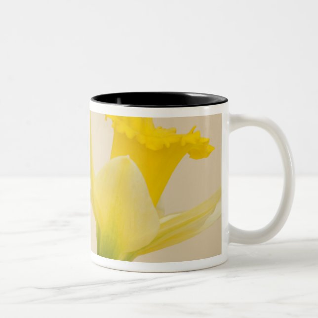 Caneca De Café Em Dois Tons Narcisos amarelos (Direita)