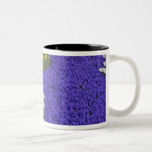 Caneca De Café Em Dois Tons Narcisos e Jacintos de Uva, Keukenhof 2