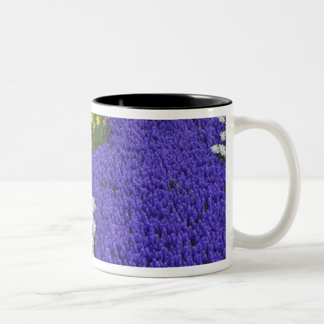 Caneca De Café Em Dois Tons Narcisos e Jacintos de Uva, Keukenhof 2 (Direita)