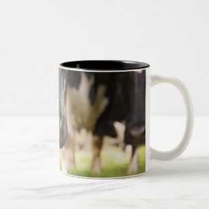 Caneca De Café Em Dois Tons Nariz da vaca