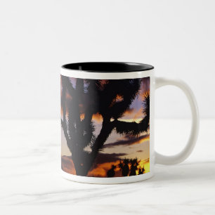 Caneca De Café Em Dois Tons Nascer do sol espetacular no Parque Nacional Joshu