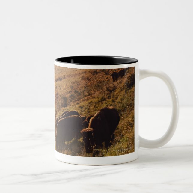 Caneca De Café Em Dois Tons Nascer do sol no bisonte (Direita)