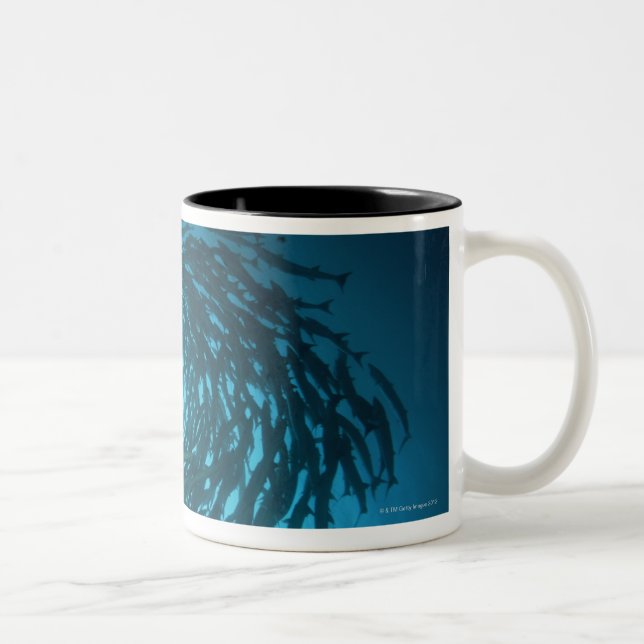Caneca De Café Em Dois Tons Natação do barracuda de Blackfin nos círculos (Direita)