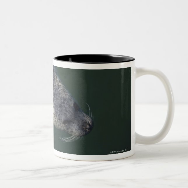 Caneca De Café Em Dois Tons Natação do selo sob a água 2 (Direita)