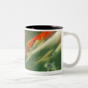 Caneca De Café Em Dois Tons Natação dos peixes da carpa de Koi em uma lagoa