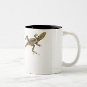 Caneca De Café Em Dois Tons Nativo Arboreal da espécie do agamid a oriental