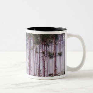 Caneca De Café Em Dois Tons Névoa entre pinheiros ao nascer do sol, Everglades