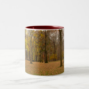 Caneca De Café Em Dois Tons New York Cup Central Park New York Mug