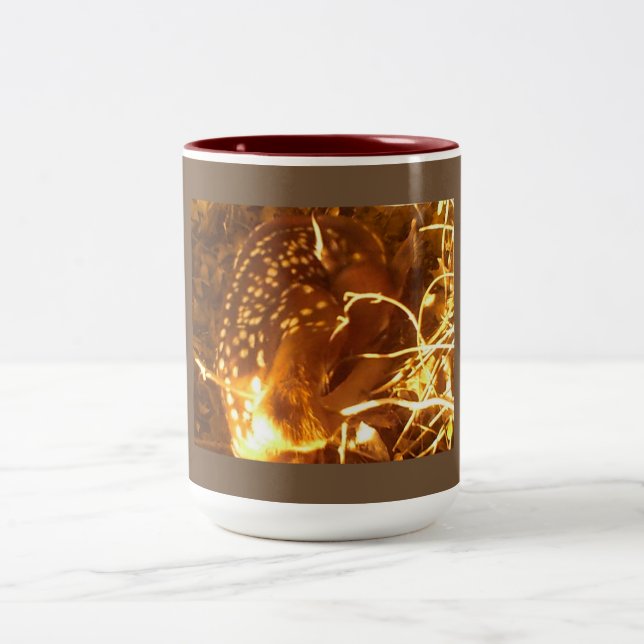 Caneca De Café Em Dois Tons Newborn Fond (Centro)