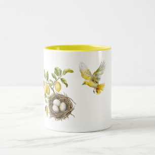 Caneca De Café Em Dois Tons Ninho de Pássaro Limões Amarelos