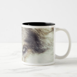 Caneca De Café Em Dois Tons Nome Latin: Lúpus de Canis