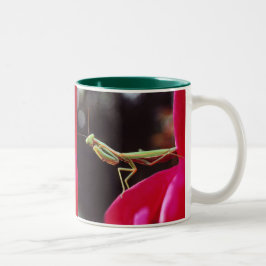 Caneca De Café Em Dois Tons Nós fomos introduzidos?