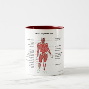 Caneca De Café Em Dois Tons Notas e café dos músculos (vista anterior)