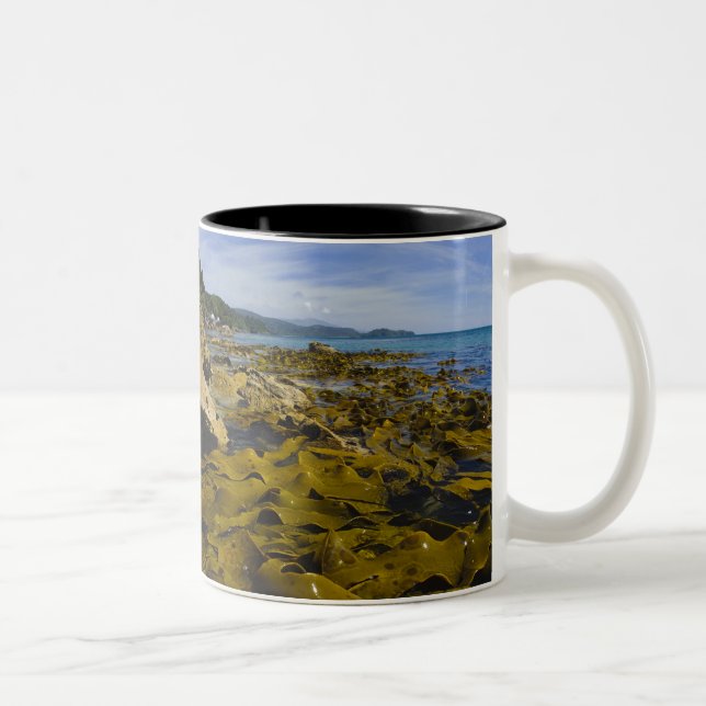 Caneca De Café Em Dois Tons Nova Zelândia, Southland, Ilha Stewart. Kelp (Direita)