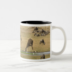 Caneca De Café Em Dois Tons Ñus, Zebras e Girafas