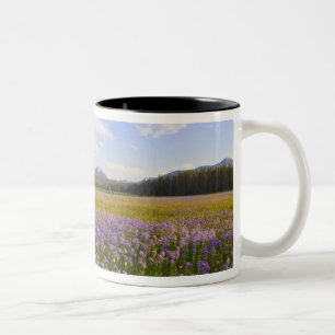 Caneca De Café Em Dois Tons O campo das flores silvestres do penstemão nos 2