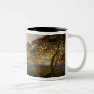 Caneca De Café Em Dois Tons O córrego sombrio