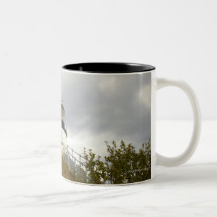 Caneca De Café Em Dois Tons O farol principal da coruja em um dia nebuloso