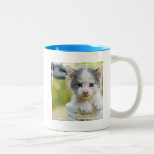 Caneca De Café Em Dois Tons O gatinho monta uma bicicleta