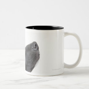 Caneca De Café Em Dois Tons O laboratório preto misturou o cão com o osso de