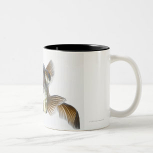 Caneca De Café Em Dois Tons O preto amarra o peixe dourado (o auratus do