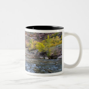 Caneca De Café Em Dois Tons O rio Virgin no outono no Parque Nacional Zion