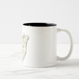 Caneca De Café Em Dois Tons O sacro
