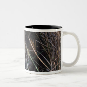 Caneca De Café Em Dois Tons O tigre reclina na grama alta