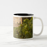 O velho castelo medieval Chateau de Rully na Cote