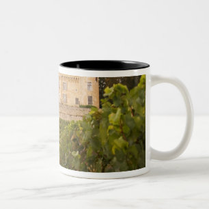 Caneca De Café Em Dois Tons O velho castelo medieval Chateau de Rully na Cote