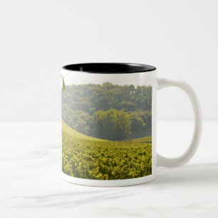 Caneca De Café Em Dois Tons O vinhedo e um vale com uma floresta -