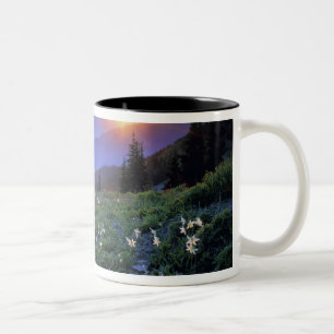 Caneca De Café Em Dois Tons Obstruciton Point Sunset, Olimpiadas NP, WA, EUA