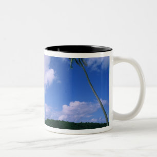 Caneca De Café Em Dois Tons Oceânia, Polinésia Francesa, Taiti. Vista de