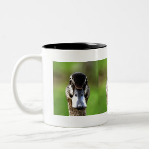 Caneca De Café Em Dois Tons Olá Ducky Quirky Duck Portrait