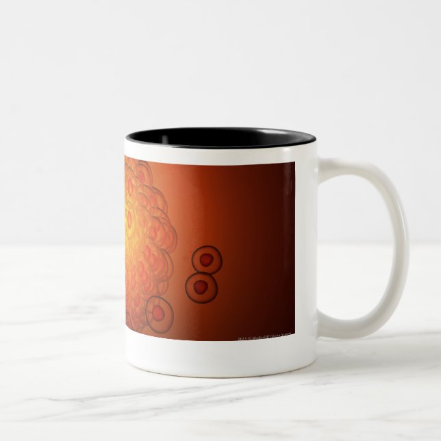 Caneca De Café Em Dois Tons Olhar ampliado em um óvulo (Direita)
