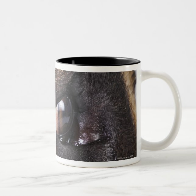 Caneca De Café Em Dois Tons Olho de great dane (Direita)