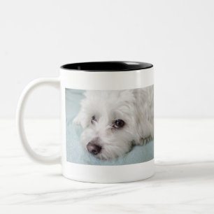 Caneca De Café Em Dois Tons Olhos de de Tulear Filhote de cachorro do algodão